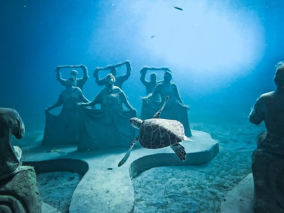 Diana the turtle swimming amongst the ponum sculptures